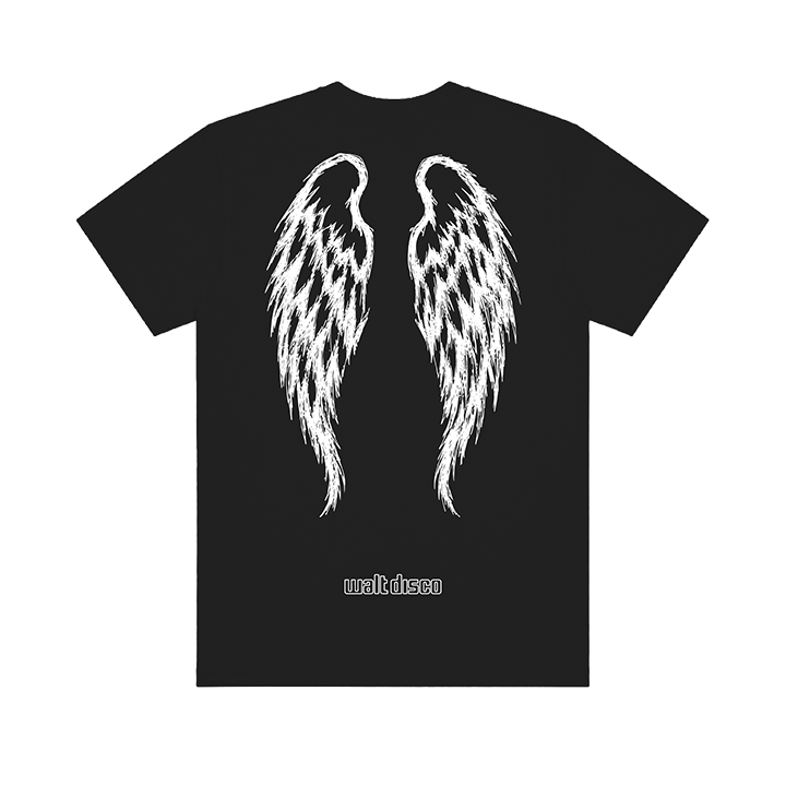 Walt Disco - IBBDGW Black T Shirt